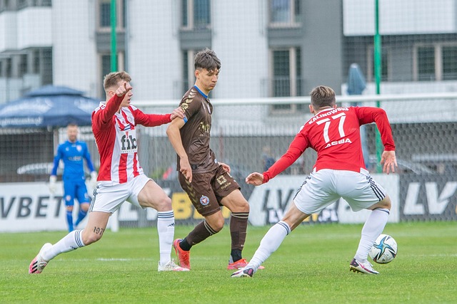 松参与其中 松参与其中