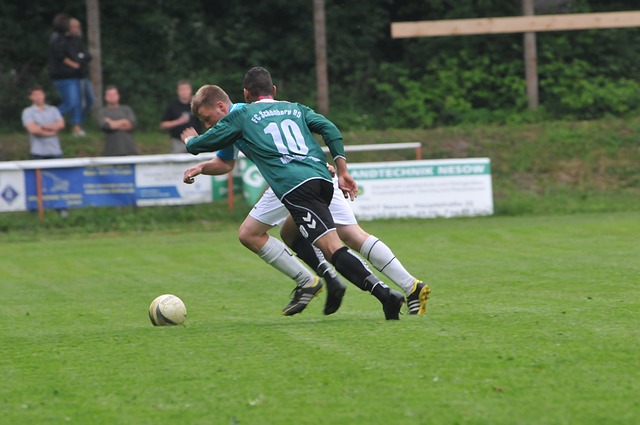 提供了宝贵 提供了宝贵