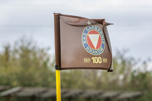 选择停攻的 选择停攻的