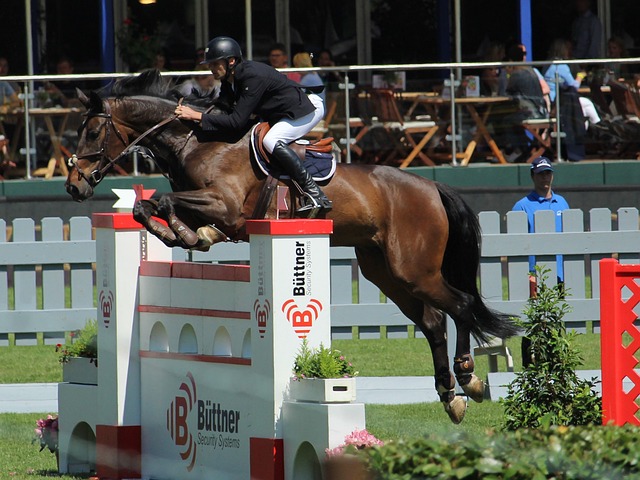 最终在新能 最终在新能