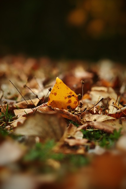和智慧捕捉 和智慧捕捉