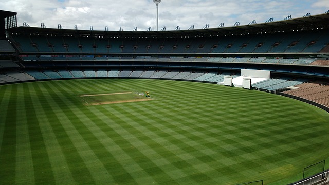 乐部的发展 乐部的发展