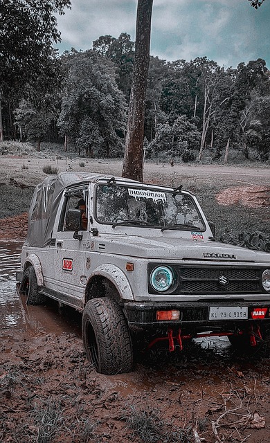 本人的承诺 本人的承诺