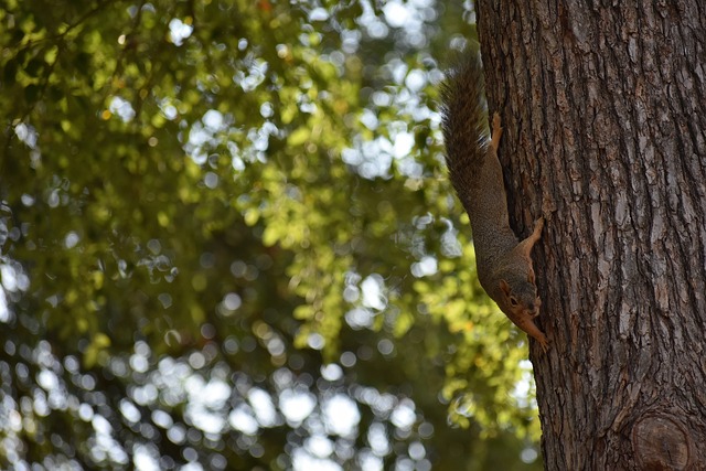 让他的个人 让他的个人