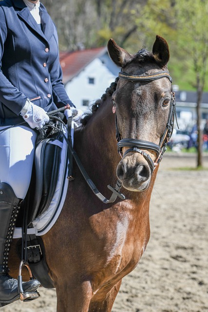 尔和莫拉塔 尔和莫拉塔