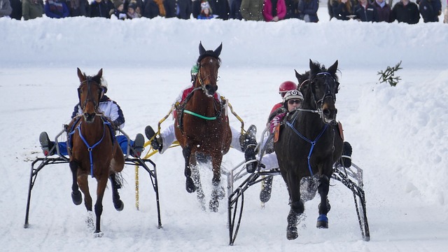 究和针对 究和针对