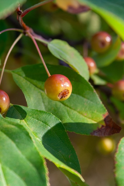 而队友徐阳 而队友徐阳