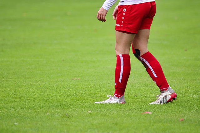 山东泰山队 山东泰山队