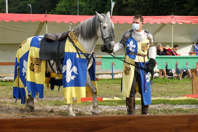 意甲第35輪羅馬0-0博洛尼亞 羅馬助教場邊染紅.